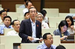Bổ sung, hoàn thiện cơ chế, chính sách giúp Đà Nẵng đột phá và phát triển