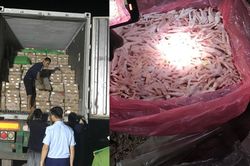 Quảng Ninh: Phát hiện gần 25 tấn chân gà đông lạnh không rõ nguồn gốc