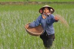 Tổng điều tra nông thôn, nông nghiệp năm 2025 trên phạm vi cả nước vào ngày 1/7