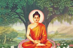 Quan điểm của người học Phật với kinh điển Bắc truyền