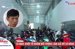 Cà Mau: Khởi tố nhóm đối tượng làm giả hồ sơ đăng ký xe