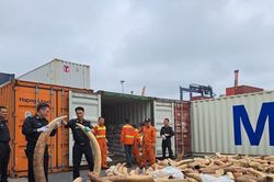 5 tháng, ngành Hải quan xử lý hàng hóa vi phạm trị giá hơn 8.400 tỷ đồng