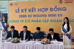 TMT Motors ký hợp tác bán 2.000 xe điện Wulling Mini EV