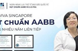 Tầm quan trọng của Chứng nhận AABB và CSM trong lưu trữ tế bào gốc