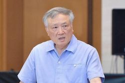 Chánh án Nguyễn Hòa Bình: 'Trại giam sẽ làm các cháu trở nên chai sạn với hình phạt phạm tội'
