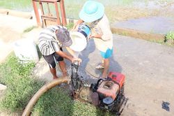 Tăng cường chống hạn hán, thiếu nước, phục vụ sản xuất vụ hè thu