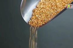 Trung Quốc ngừng mua thêm vàng dự trữ sau 18 tháng