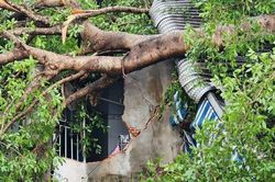 Cây đổ và hàng loạt căn nhà hư hỏng sau mưa giông tại An Giang