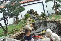 Bé trai suýt đuối nước trong hồ cá koi, mẹ vội vàng làm một việc