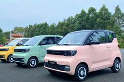 Vì sao một doanh nghiệp quyết định mua 2 nghìn xe điện mini làm taxi?