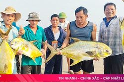 Tổng sản lượng thủy sản Hà Tĩnh đạt hơn 22.600 tấn