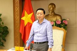 Sớm xây dựng, ban hành bộ tiêu chí xanh cho nền kinh tế