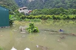 Mực nước sông Gâm dâng cao, gây ngập úng