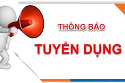 Kho bạc Nhà nước tỉnh thông báo tuyển dụng lao động