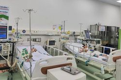 Người nhà nhờ thầy lang 'hút nọc' rắn độc cắn, bé gái nguy kịch