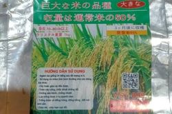 'Khóc ngất' vì nhiều hộ dân ở Bắc Kạn mua giống lúa trên mạng xã hội về trồng không trổ bông