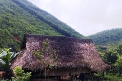 Lập chòi lán giữa rừng sâu để mua bán, vận chuyển số lượng lớn ma túy