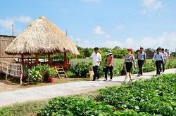 Tỉnh Trà Vinh đã thành nông thôn mới