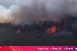Cháy ngùn ngụt ở Vườn quốc gia Tràm Chim, khói bốc cao hàng trăm mét