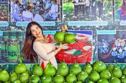 Lễ hội Mùa trái chín của tỉnh Bình Dương có gì độc đáo?