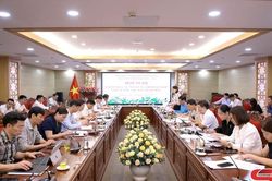 Thẩm tra các nội dung trình Kỳ họp chuyên đề thứ hai mươi mốt, HĐND tỉnh