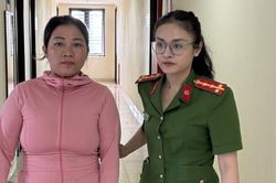 Bắt nữ quái môi giới mua bán trẻ em cho gia đình hiếm muộn