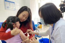 Bệnh ho gà vẫn tiếp tục gia tăng ở Hà Nội