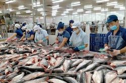 Xuất khẩu thủy sản dự báo thu về 4,4 tỷ USD trong 2 quý đầu năm