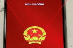 Mất 6 tỉ vì cài app dịch vụ công 'dỏm'