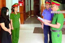 Quảng Bình: Khởi tố Giám đốc Công ty Công nghệ ATH trốn thuế gần 7 tỷ đồng