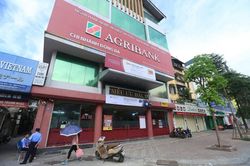 Bạc Liêu: Nguồn vốn từ Agribank hỗ trợ hiệu quả sản xuất nông nghiệp