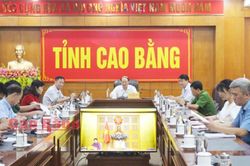 Hội nghị trực tuyến về nghị định quy định về điều tra cơ bản đất đai