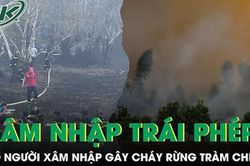 Phát hiện có người xâm nhập trái phép gây ra vụ cháy lớn ở Vườn quốc gia Tràm Chim