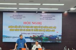 Cục trưởng Cục Thủy sản Trần Đình Luân: Phải xử lý triệt để các vi phạm khai thác IUU