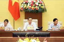 Nhất trí giảm 2% thuế giá trị gia tăng đến hết năm 2024