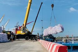 Áp thuế giá trị gia tăng đối với mặt hàng phân bón: Lợi ích kép