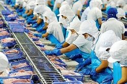Ngành thủy sản hướng tới mục tiêu xuất khẩu 10 tỷ USD
