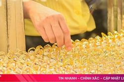 Giá vàng hôm nay 14/6/2024: Vàng trong nước vẫn không thay đổi