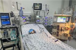 Bé gái sốc phản vệ, suy hô hấp nặng do bị ong vò vẽ đốt hơn 50 vết