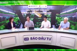 'Thiệt đơn thiệt kép' khi 10 năm phân bón không áp dụng thuế giá trị gia tăng
