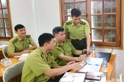 Ứng dụng hệ thống giám sát để bảo vệ rừng