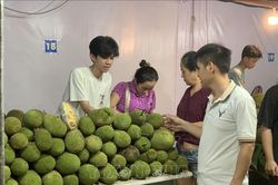 Khai mạc Lễ hội mùa trái chín 'Lái Thiêu mùa hẹn'