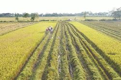 Ý nghĩa quan trọng của Luật Đất đai năm 2024