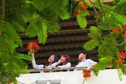 Gợi nhớ thời áo trắng