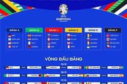 Nghị quyết Chính phủ về việc tiếp phát sóng trực tiếp vòng chung kết giải bóng đá EURO 2024