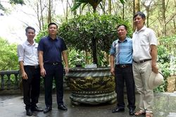 Khu di tích Kim Liên tiếp nhận 9 cây cảnh nghệ thuật quý hiếm