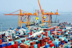 Xuất khẩu tuần từ 10/6-16/6: Xuất khẩu tôm Việt Nam kỳ vọng đà tăng trưởng