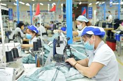 Tập đoàn Vinatex chốt ngày chia cổ tức tiền mặt tỷ lệ 3%