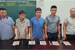 Bắt giữ nhóm đối tượng đánh bạc trá hình bằng chọi trâu