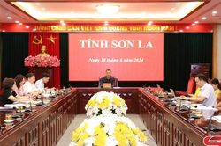Góp ý hoàn thiện dự thảo Nghị định quy định về đất trồng lúa